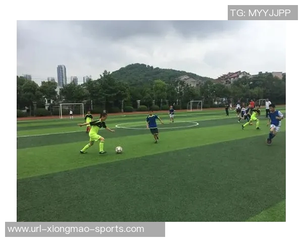 高雷雷21足球场周边设施与活动推荐助你畅享精彩足球体验